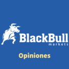 Blackbull Markets opiniones – Plataforma de negociación de CFDs
