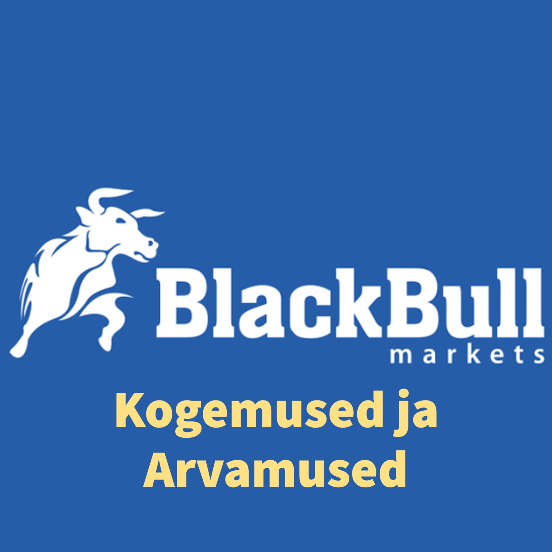 Blackbull Markets kogemused ja arvamused (1)