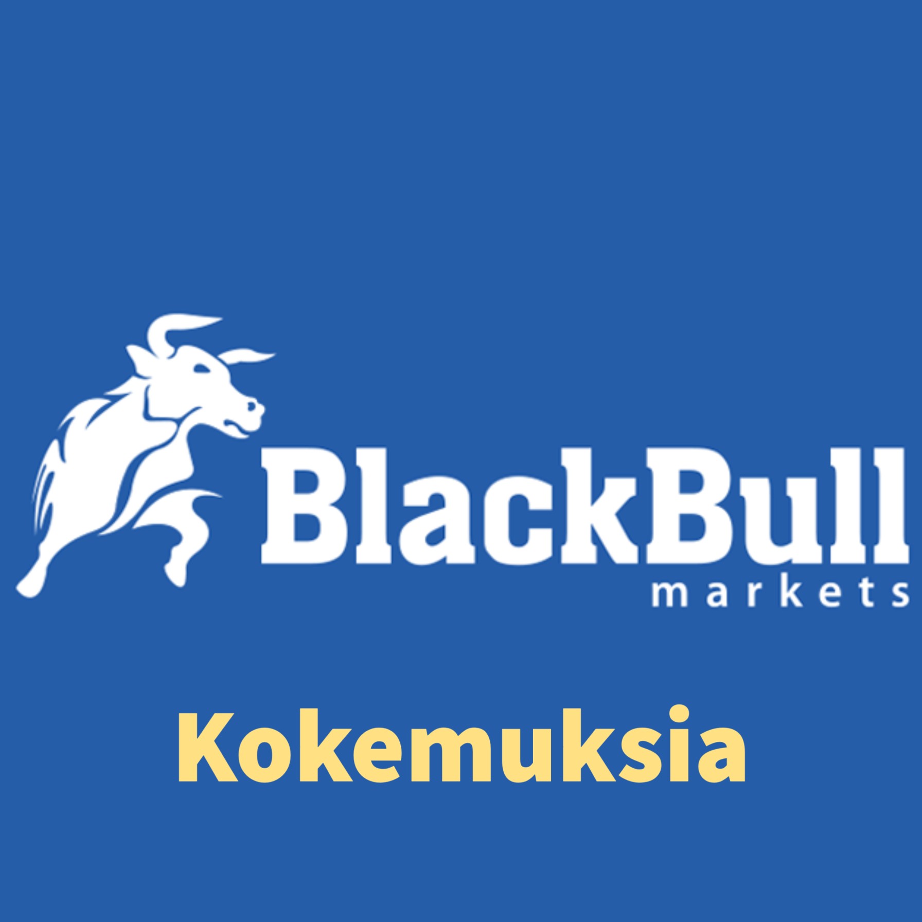 Blackbull Markets kokemuksia (1)