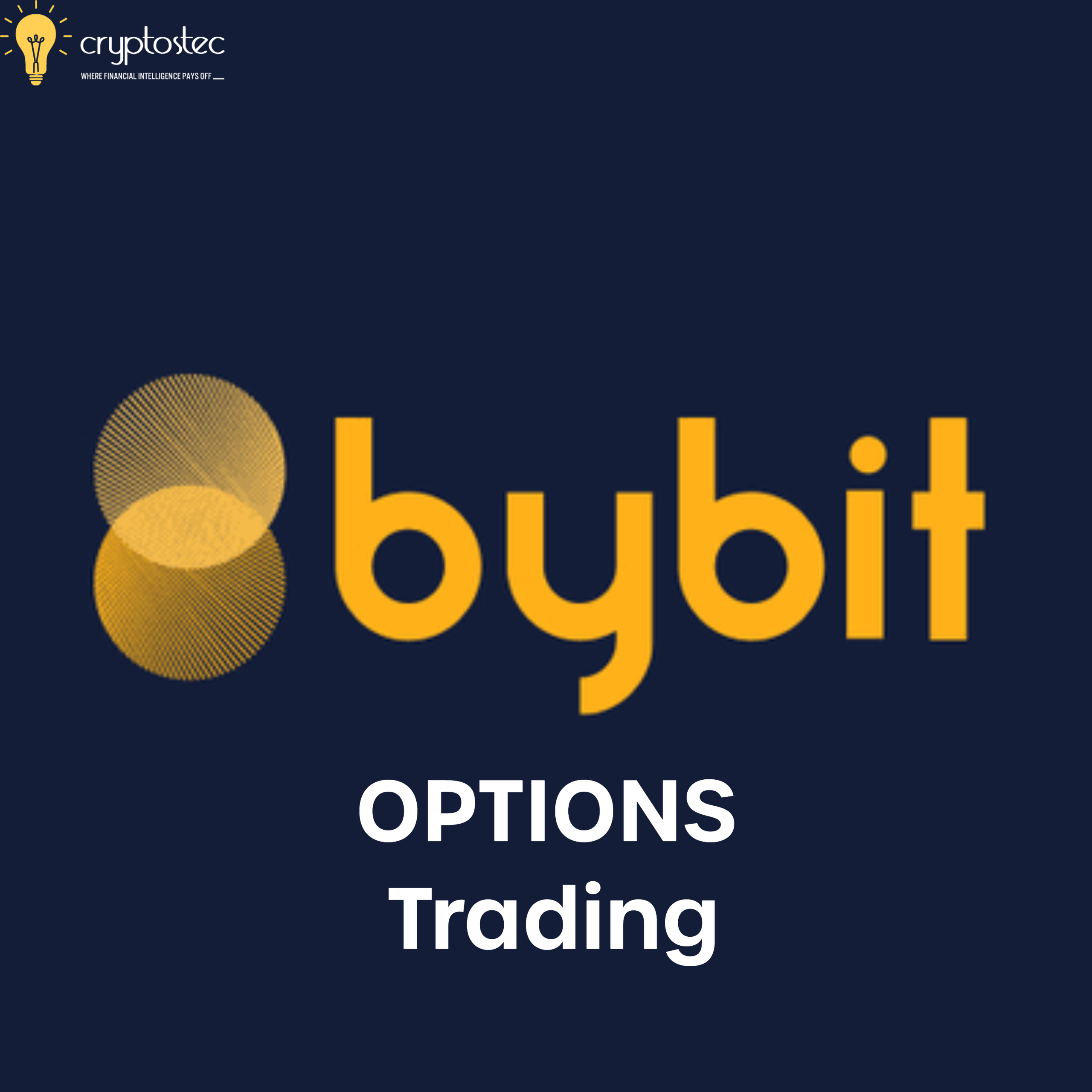 Bybit Options opiniones